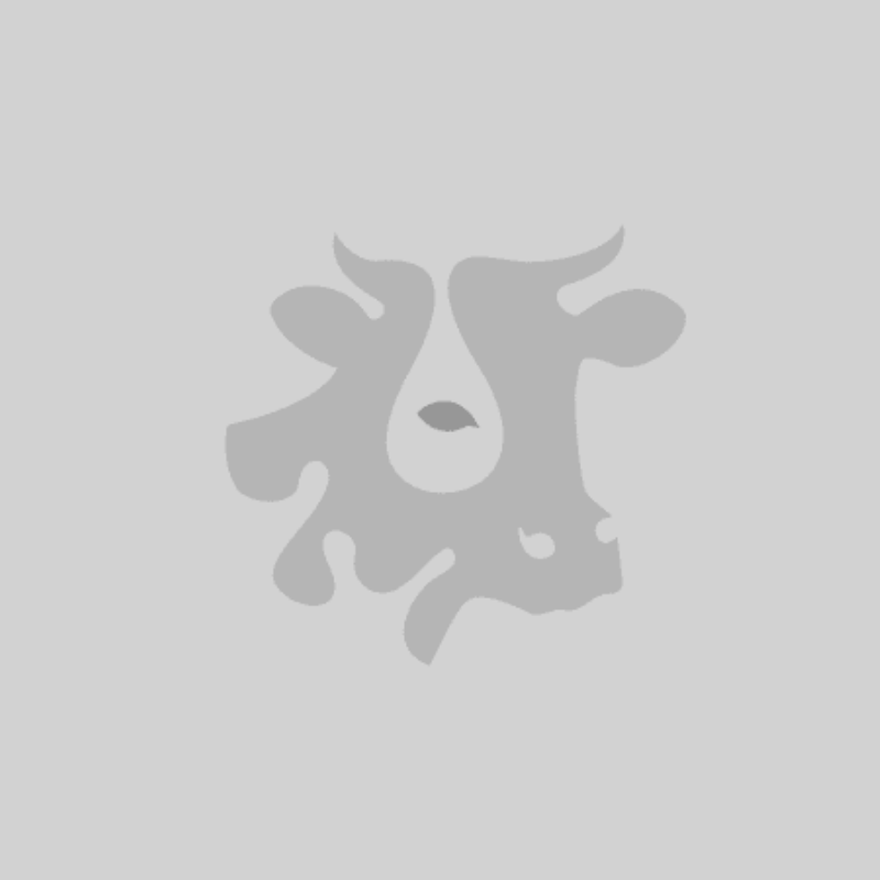 Sélection de vins d’Auvergne et de fromages régionaux dans un restaurant de Clermont-Ferrand